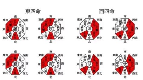 東四命|八宅風水講解：什么是東四命與西四命？